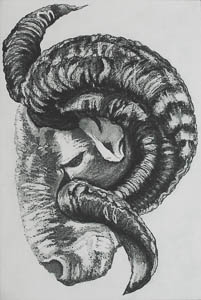 Ram